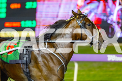 2026_PACEPIX_GP10042026_RACE4_LazDais_WIN_WEB-19