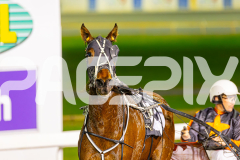 2025_PACEPIX_GP24062025_RACE4_LaziDais_WIN_WEB-13