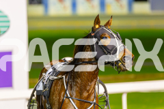 2025_PACEPIX_GP24062025_RACE4_LaziDais_WIN_WEB-14