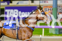 2026_PACEPIX_GP07042026_RACE4_LilHappyFella_WIN_WEB-11