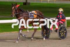 Lincoln-Lou_01-05-2026_WIN_Gloucester-Park_4__09