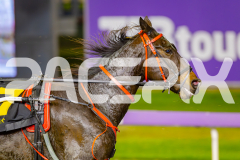 2025_PACEPIX_GP23052025_Race4_LongreachBay_WIN_WEB-13