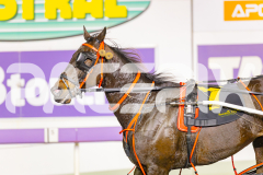 2025_PACEPIX_GP23052025_Race4_LongreachBay_WIN_WEB-16
