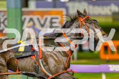 2025_PACEPIX_GP23052025_Race4_LongreachBay_WIN_WEB-3