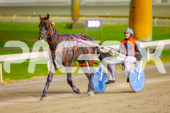 2025_PACEPIX_GP25042025_RACE4_LongreachBay_WIN_WEB-15