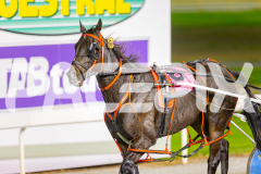 2025_PACEPIX_GP25042025_RACE4_LongreachBay_WIN_WEB-16