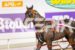 2025_PACEPIX_GP25042025_RACE4_LongreachBay_WIN_WEB-17