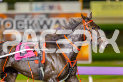 2025_PACEPIX_GP25042025_RACE4_LongreachBay_WIN_WEB-3