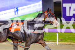 2026_PACEPIX_GP19052026_RACE4_LouLamour_WIN_WEB-13