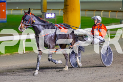 2026_PACEPIX_GP19052026_RACE4_LouLamour_WIN_WEB-14