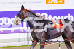 2026_PACEPIX_GP19052026_RACE4_LouLamour_WIN_WEB-16