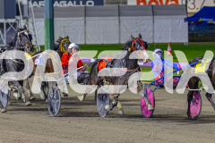 2026_PACEPIX_GP19052026_RACE4_LouLamour_WIN_WEB-5