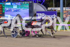 2026_PACEPIX_GP19052026_RACE4_LouLamour_WIN_WEB-8
