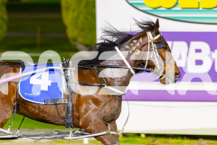 2026_PACEPIX_GP12062026_RACE4_LouieLebeau_WIN_WEB-10