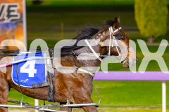 2026_PACEPIX_GP12062026_RACE4_LouieLebeau_WIN_WEB-9
