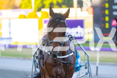 2026_PACEPIX_GP24022026_RACE4_LouieLebeau_WIN_WEB-12