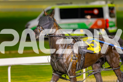 2025_PACEPIX_GP15072025_Race4_LukeAttack_WIN_WEB-12