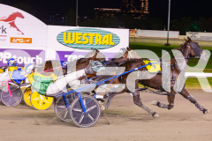 2025_PACEPIX_GP15072025_Race4_LukeAttack_WIN_WEB-6