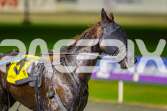 2025_PACEPIX_GP15072025_Race4_LukeAttack_WIN_WEB-9