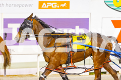 2025_Pacepix_GP30092025_RACE4_LukesMistake_WIN_WEB-11