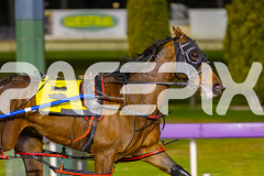 2025_Pacepix_GP30092025_RACE4_LukesMistake_WIN_WEB-3