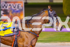2025_Pacepix_GP30092025_RACE4_LukesMistake_WIN_WEB-9