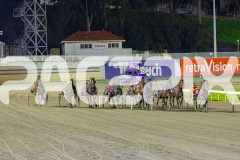 2026_PACEPIX_GP10072026_Race4_Machnificent_WIN_WEB-1
