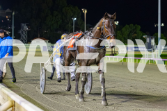 2026_PACEPIX_GP10072026_Race4_Machnificent_WIN_WEB-12