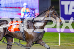 2026_PACEPIX_GP10072026_Race4_Machnificent_WIN_WEB-9