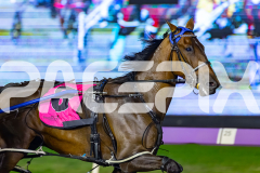 2026_PACEPIX_GP18042026_RACE4_MadMonday_WIN_WEB-11