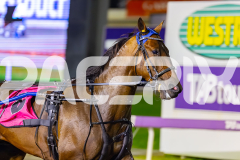 2026_PACEPIX_GP18042026_RACE4_MadMonday_WIN_WEB-2