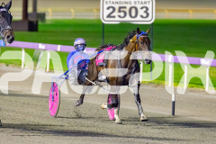 2026_PACEPIX_GP18042026_RACE4_MadMonday_WIN_WEB-21