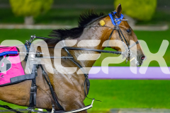 2026_PACEPIX_GP18042026_RACE4_MadMonday_WIN_WEB-24