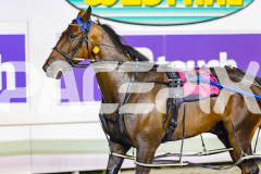 2026_PACEPIX_GP18042026_RACE4_MadMonday_WIN_WEB-27