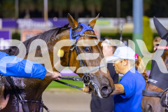 2026_PACEPIX_GP18042026_RACE4_MadMonday_WIN_WEB-31