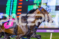 2026_PACEPIX_GP18042026_RACE4_MadMonday_WIN_WEB-6