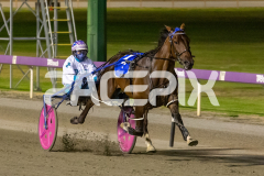 Mad-Monday_13-03-2026_WIN_Gloucester-Park_4__03