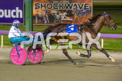 Mad-Monday_13-03-2026_WIN_Gloucester-Park_4__05
