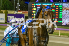 Mad-Monday_13-03-2026_WIN_Gloucester-Park_4__11