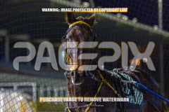 2026_Pacepix_GP31072026_Race4_MagnificentStorm_WIN_WEB-26