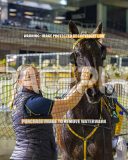 2026_Pacepix_GP31072026_Race4_MagnificentStorm_WIN_WEB-32