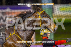 2026_Pacepix_GP31072026_Race4_MagnificentStorm_WIN_WEB-6