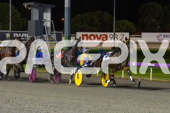 2023_HCC_GP08082025_Race4_Magnificent-Storm_WEB-1