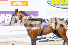 2025_PACEPIX_GP05122025_RACE4_MagnusVictor_WIN_WEB-12