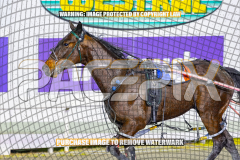 2026_PACEPIX_GP01092026_Race4_Martyr_WIN_WEB-14
