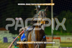 2026_PACEPIX_GP01092026_Race4_Martyr_WIN_WEB-16
