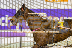 2026_PACEPIX_GP24072026_RACE4_MaximumRock_WIN_WEB-12