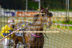 2026_PACEPIX_GP24072026_RACE4_MaximumRock_WIN_WEB-14