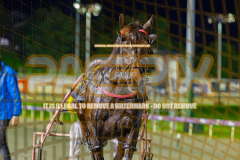 2026_PACEPIX_GP24072026_RACE4_MaximumRock_WIN_WEB-17