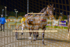 2026_PACEPIX_GP24072026_RACE4_MaximumRock_WIN_WEB-18